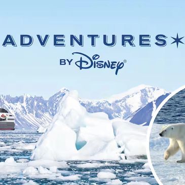 Adventures by Disney Arctic expedition with polar bear.