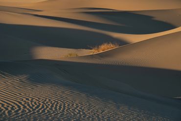 Dunes at Death Valley National Park