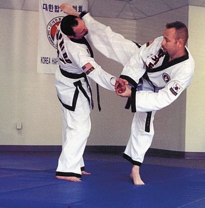 Elite Academy Of Martial Arts Tae Kwon Do Martial Arts Elite