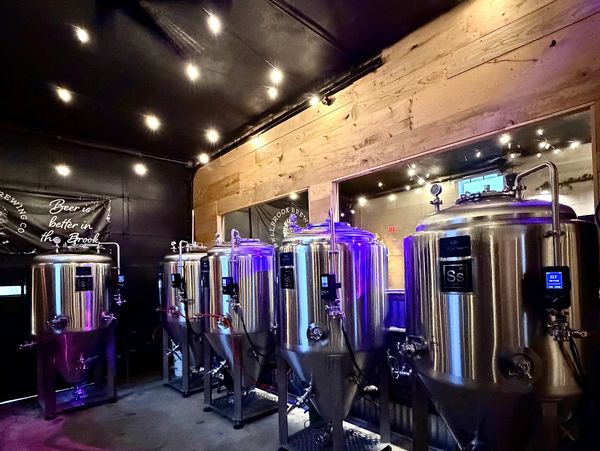 Row of shiny brewing tanks in a dimly lit brewery with wooden accents.