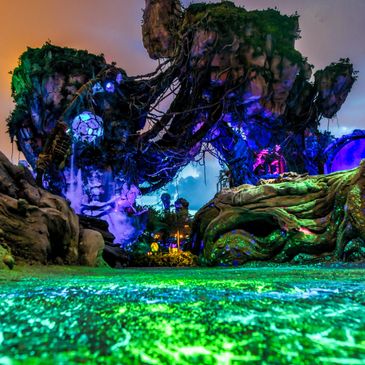Pandora World of Avatar at Disney's Animal Kingdom. 