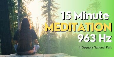 Person meditating in Sequoia National Park.