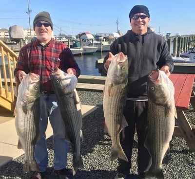 crabbing, fishing, regulations, new jersey, barnegat, barnegat bay, fish, crab, blue claw, striper