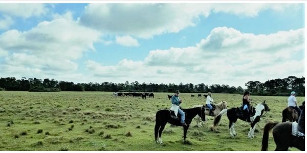  Palm City Farms Association for Pineland Prairie 