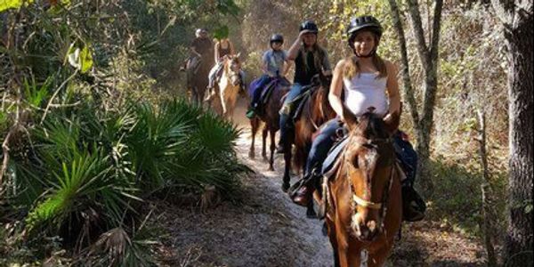 Palm City Farms Association members horseback riding trails in S Florida 