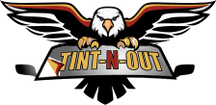 Tint-N-Out
 Expert Tinting Services for a Cooler Ride!