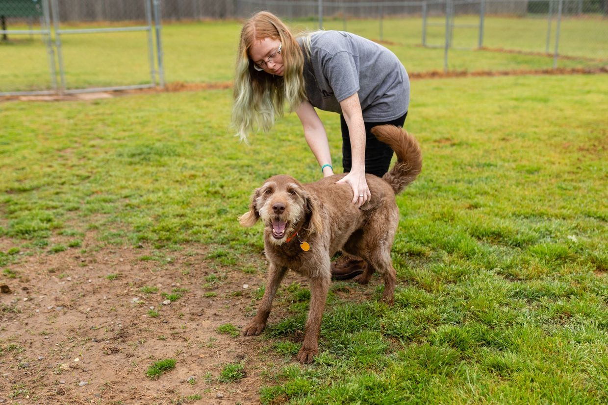 a woman playing with a dog in the garden 
