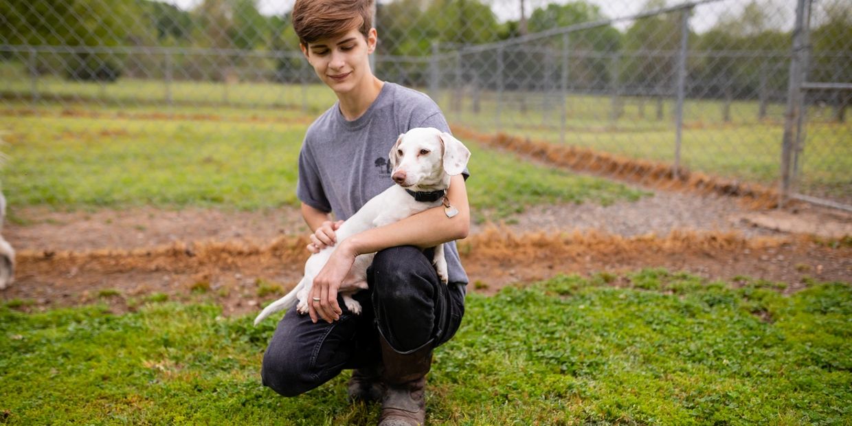 Canine Country Premier Dog Boarding, Grooming, and Activities in