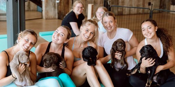 Group of women holding puppies and smiling indoors.