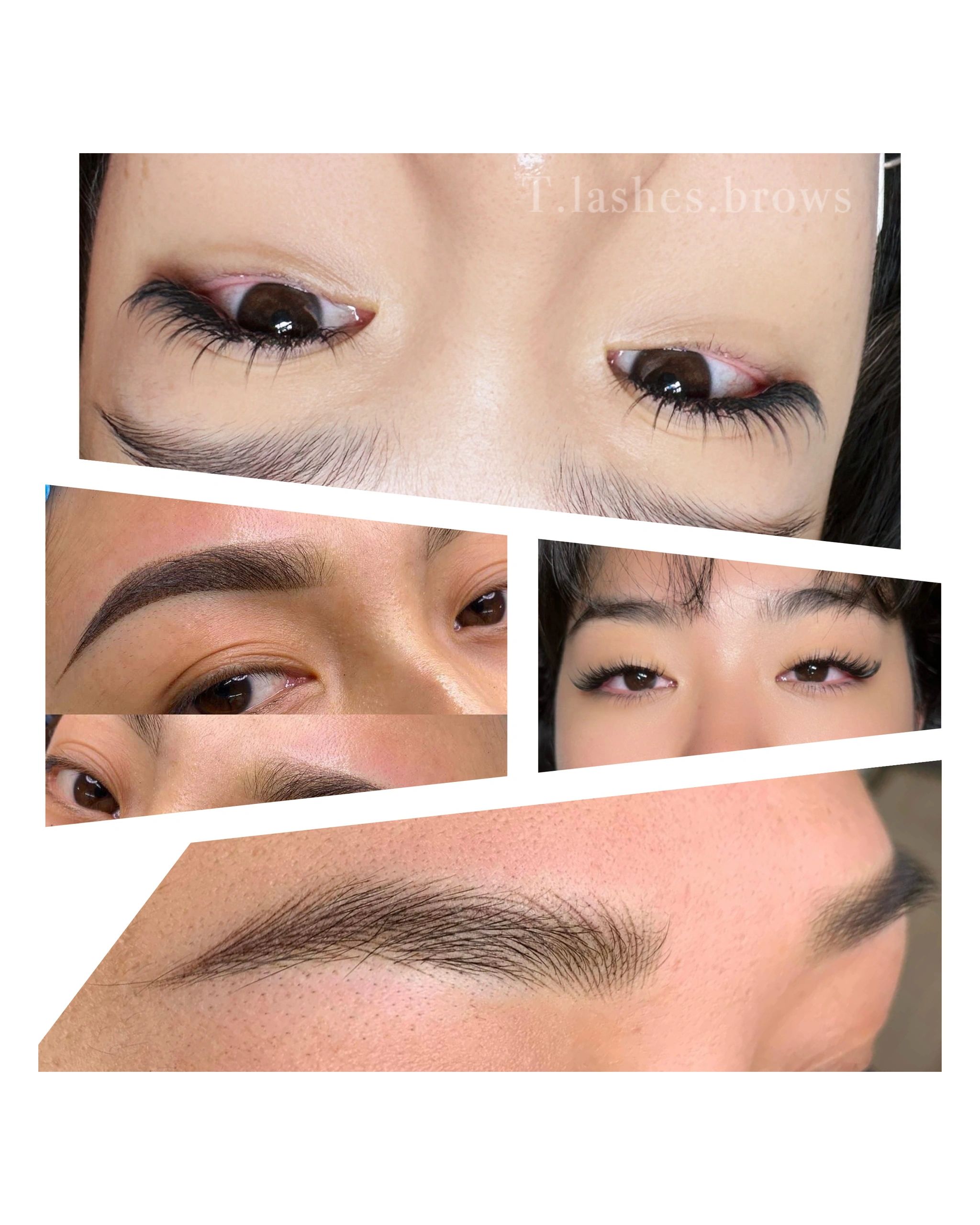T.lashes.brows