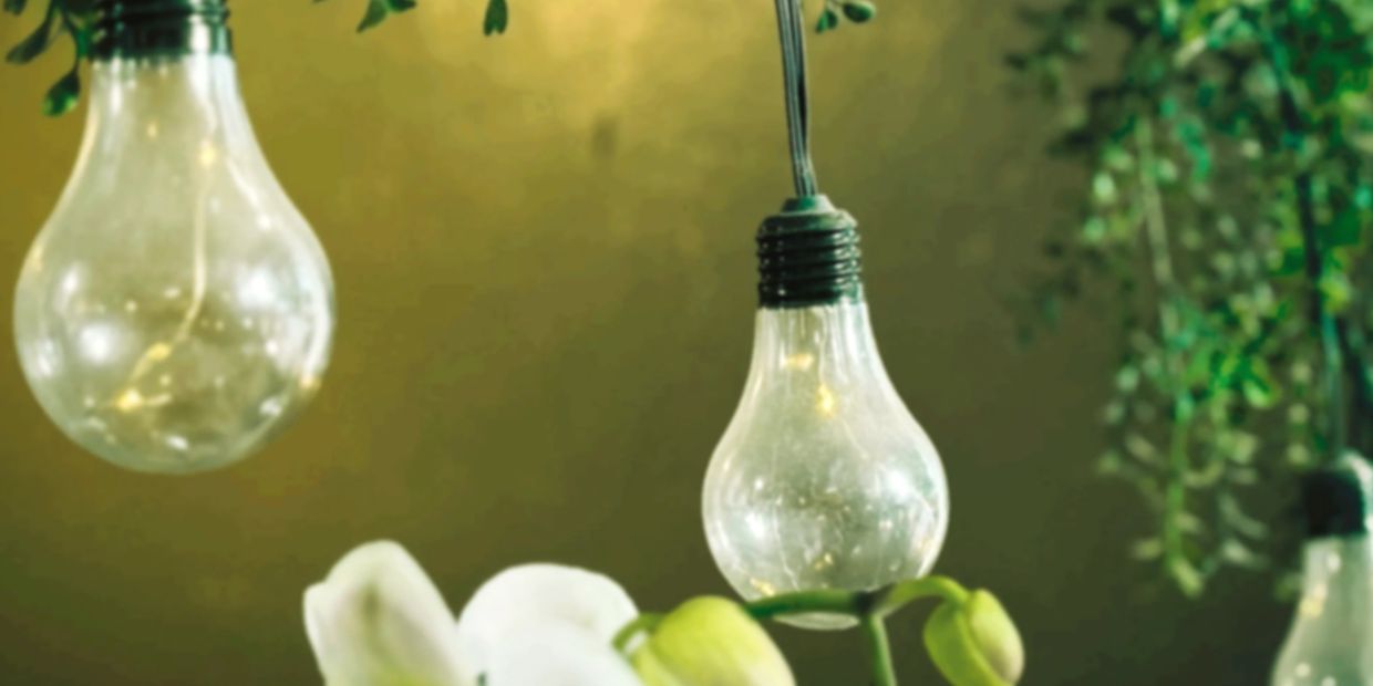 Hanging lightbulbs nurturing growing orchids