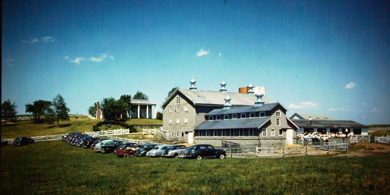 Wayne Knolls Farm, Marshallville, Ohio 
Circa 1950