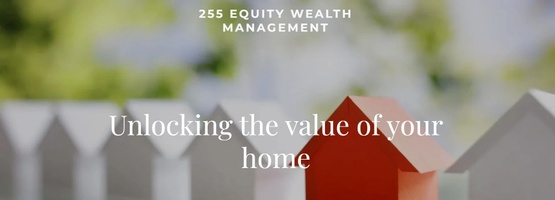 255 EQUITY WEALTH MANAGEMENT  Michael J. Weltman MBA 
