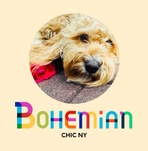 Bohemian Chic NY