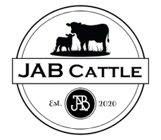 JAB Cattle 