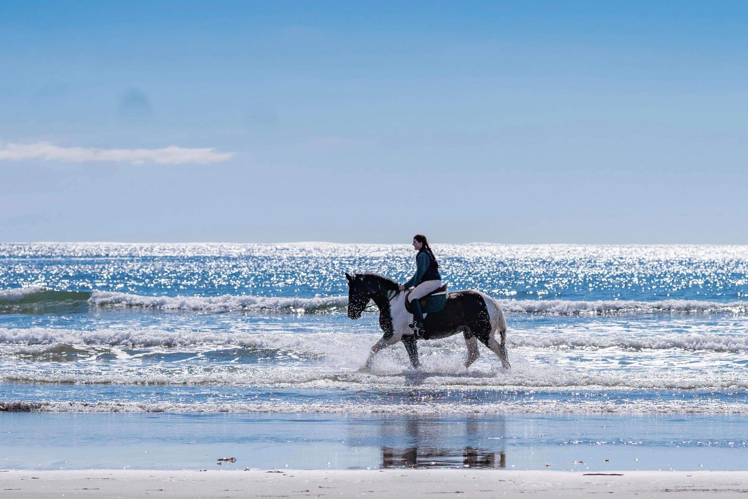 Seahorse Stables