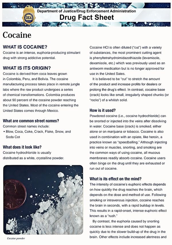 DEA fact sheet detailing cocaine's origin, appearance, street names, usage, and effects.