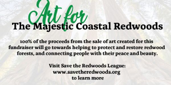 Fundraiser poster supporting coastal redwoods protection through art sales.