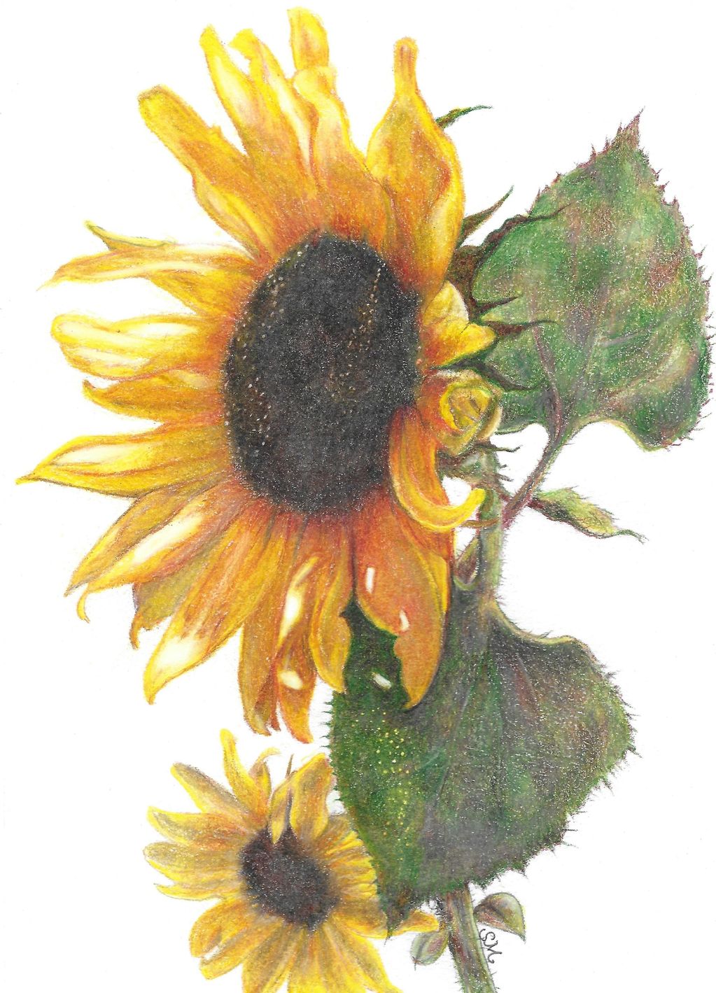 Personalized Watercolor Sketchbook, Sunflower Cutout Laser Engraved Wo –  MrsHandPainted