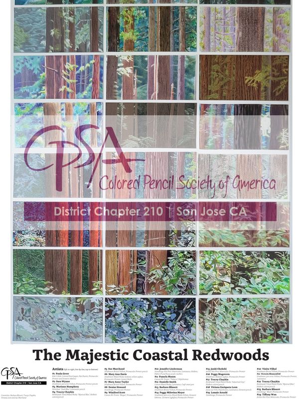 Poster showcasing colored pencil artwork of coastal redwoods by CPSA San Jose chapter.