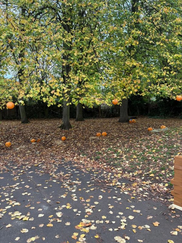 Autumn scene with pumpkins and fall leaves under trees.