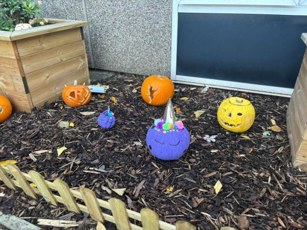 Colorful and traditional carved pumpkins on mulch.