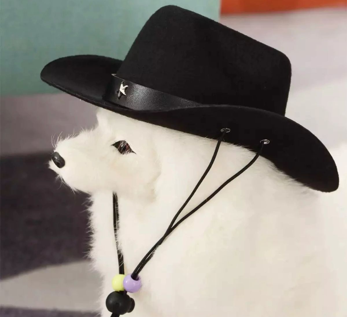 Dog Cowboy Hats