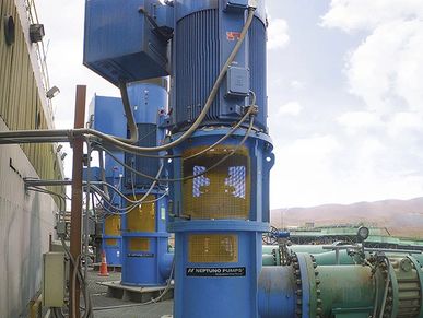 industrial pump repair for ship, pump rewinding, ESPA