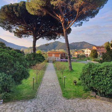 Stone pathway through a green garden with large trees and distant mountains.