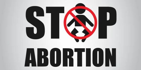 Stop Abortion. Pro Life. Pro All-Life. Save the Unborn. Babies.