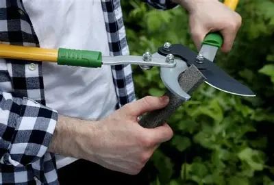 Why You Should Sharpen Your Garden Tools (And How It Pays Off)