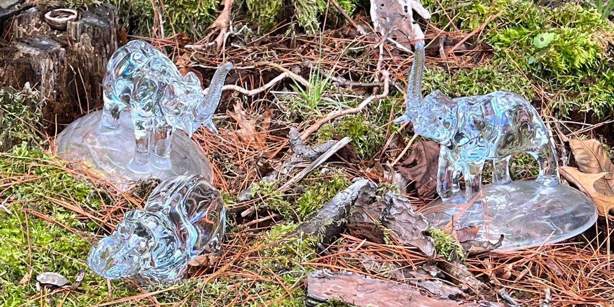 Three glass elephant statues placed on a tree stump by Shiney James.