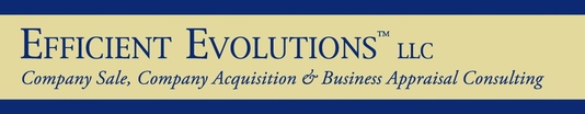 Efficient Evolutions LLC