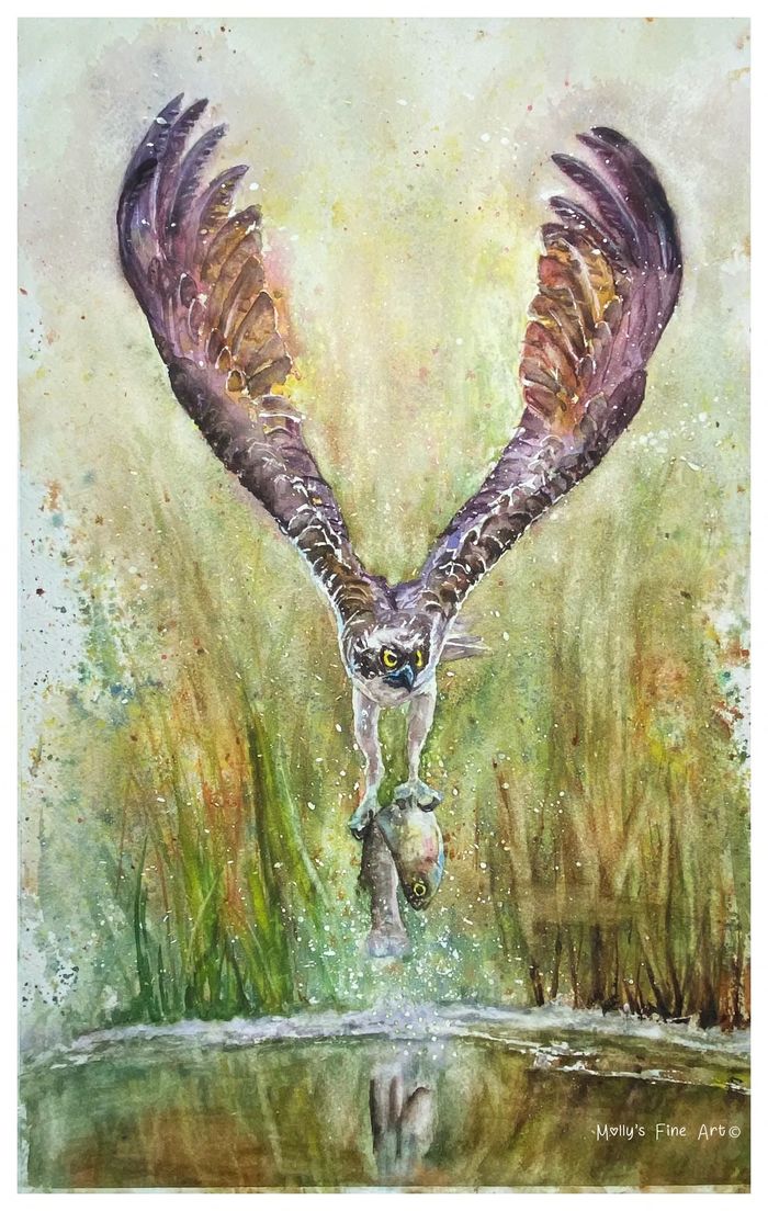 "Gone Fishing" 11x17 Watercolor Osprey by Molly's Fine Art