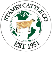 Stamey Cattle Company, LLP