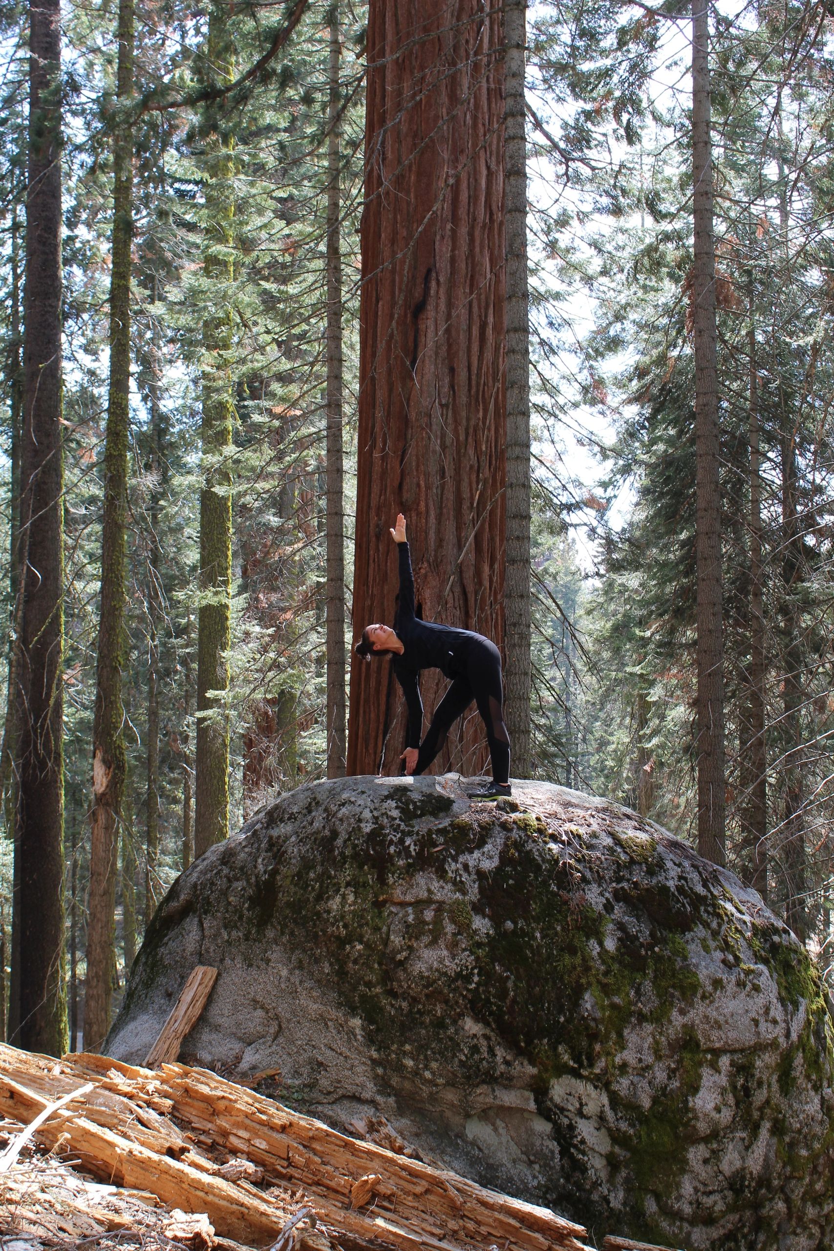 Farmville Yoga Options