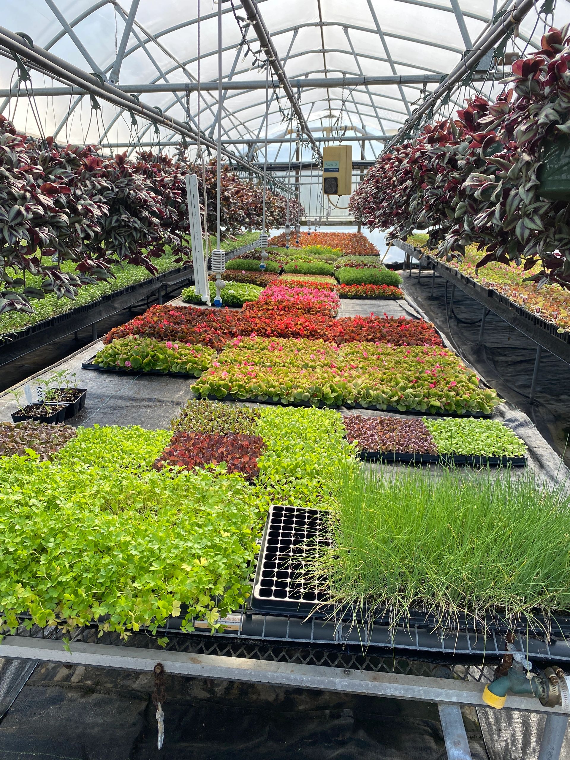 A breathtaking visit to the nursery.