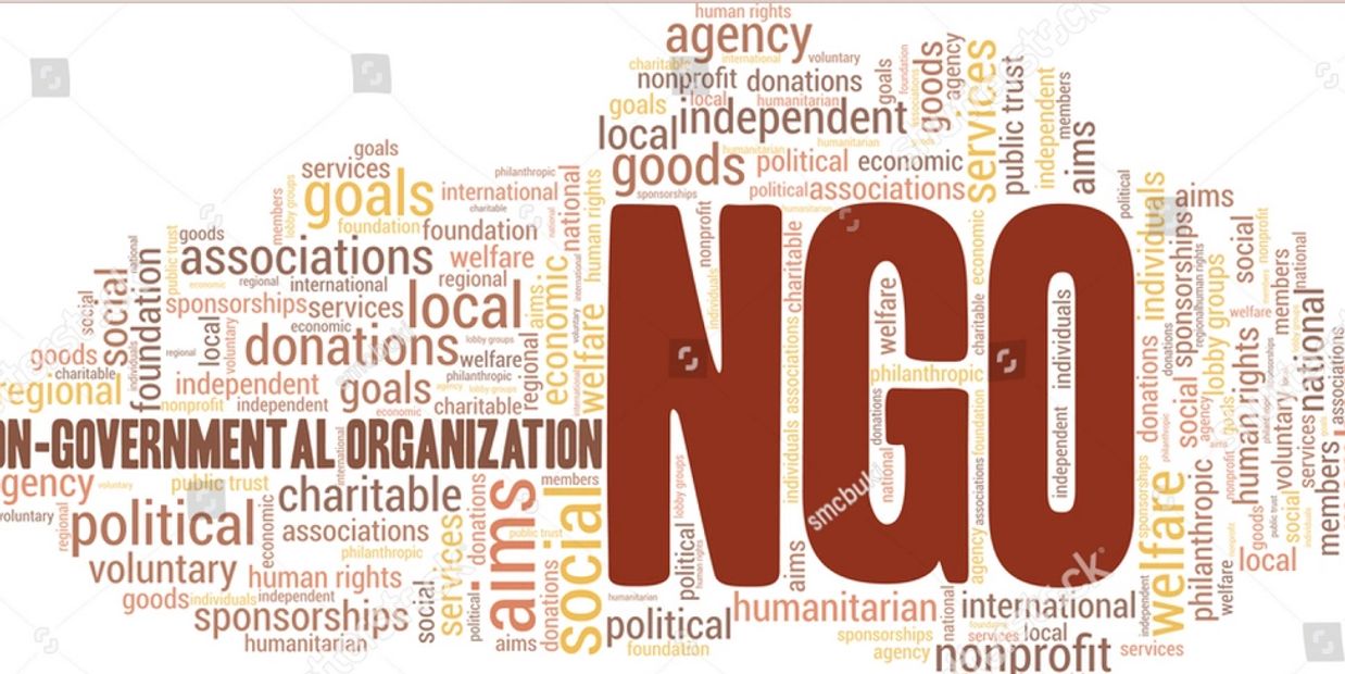 Word cloud centered on NGOs and related terms.