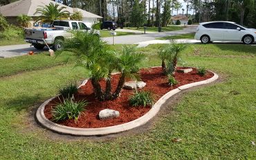 Curved garden bed with small palm trees.