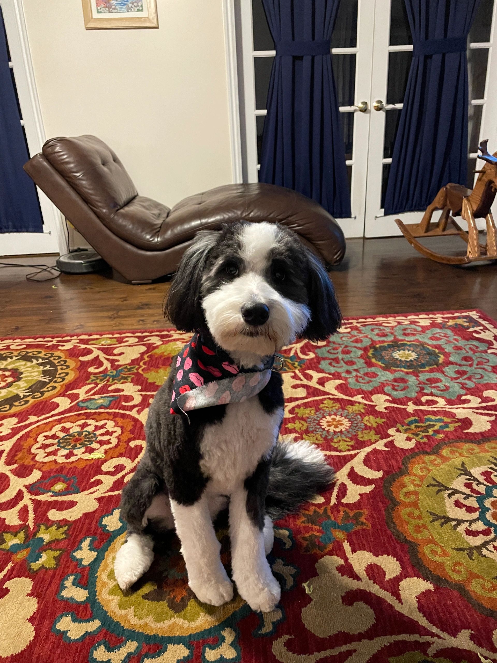 ADA Description of a Service Animal