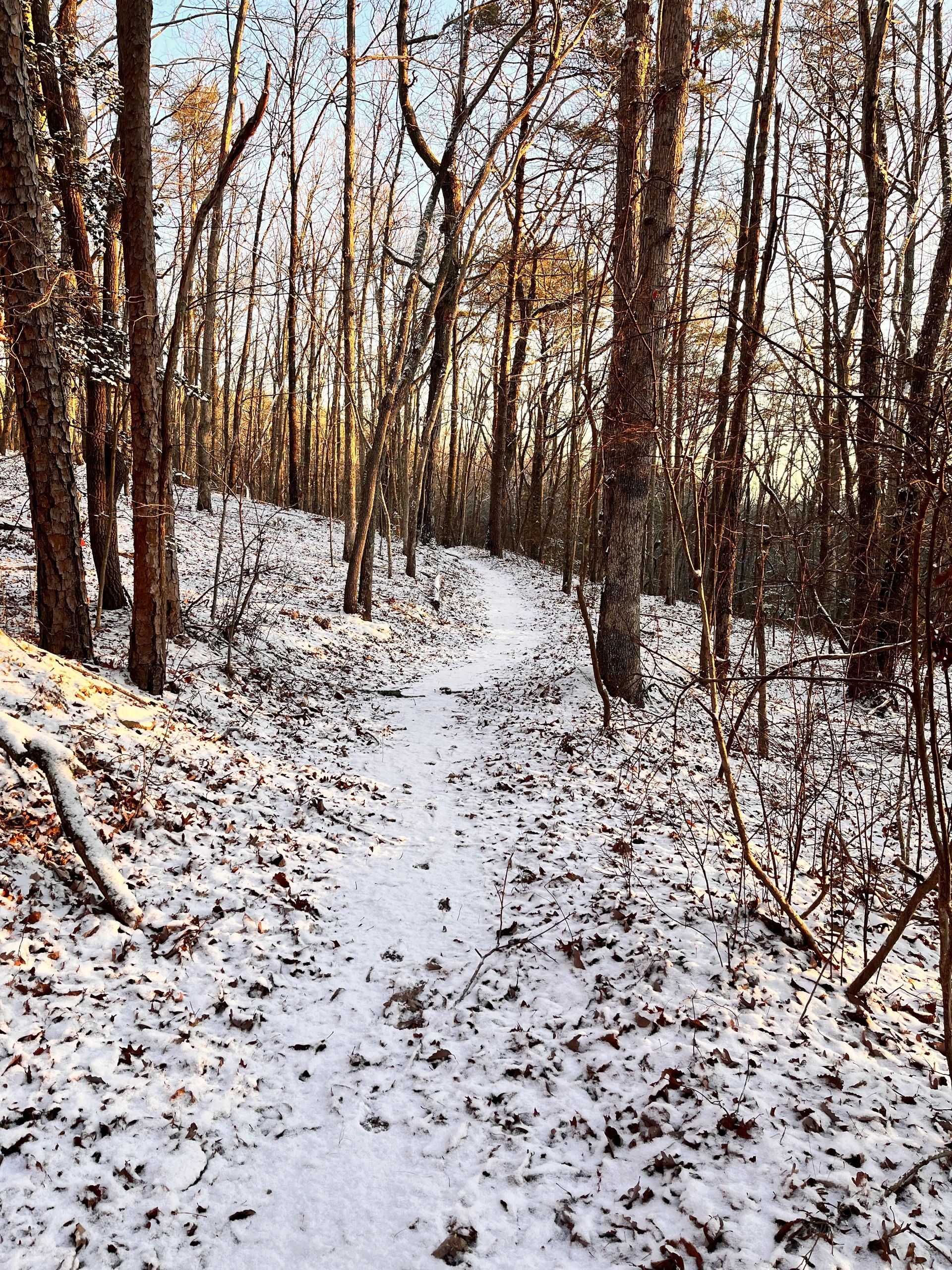 Vacation Rentals Trailside Lookout Mountain
