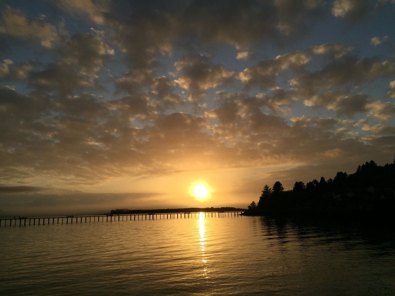Sunset over a calm lake with a long pier and silhouetted trees.