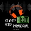 KS White Noise Paranormal