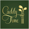 Elegant golden lettering saying 'Caddy Time' with three golf clubs on green background.