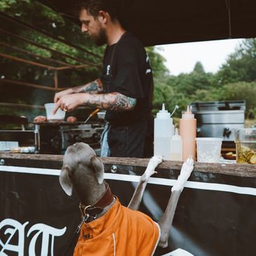 a dog ordering some dinenr