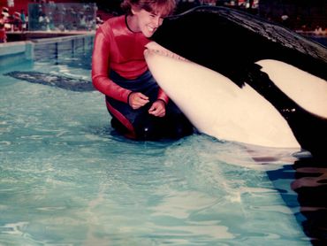 Shamu almost giving Eileen a kiss. These whales taught me a lot about training. 