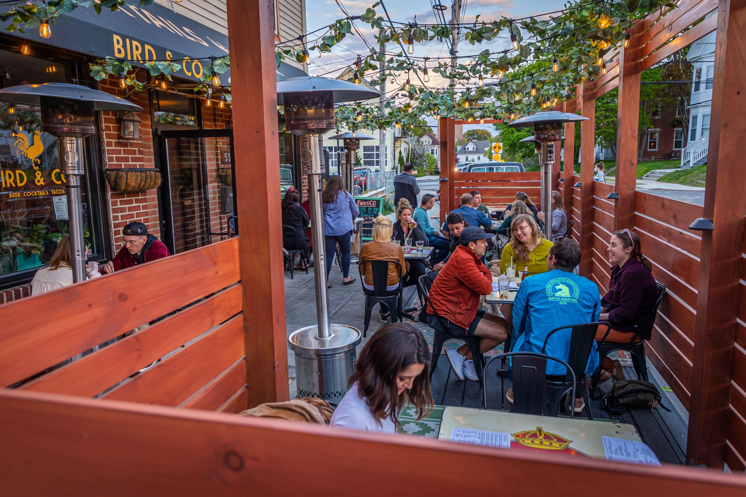 Bird & Co. Tacos Portland, Maine