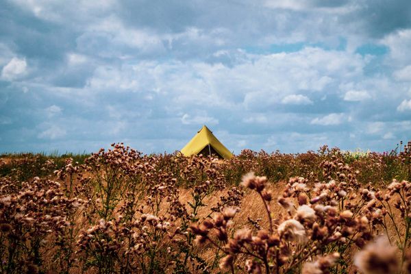 Glamping tent set-up in a field of flowers.