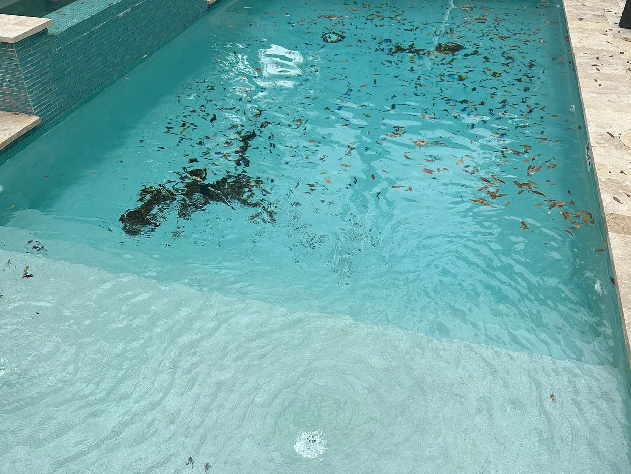 Pool with scattered leaves and hammock in backyard.