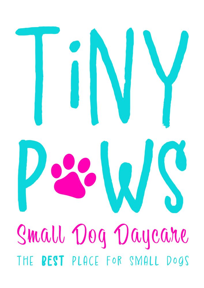 Tiny Paws Daycare Logo